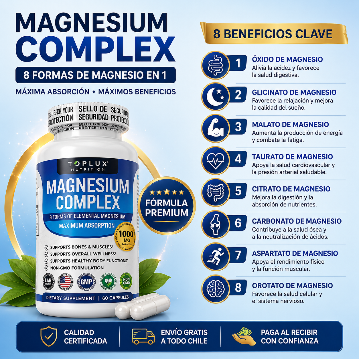 2x1 Magnesio Suplemento 8 Elemental 1000mg