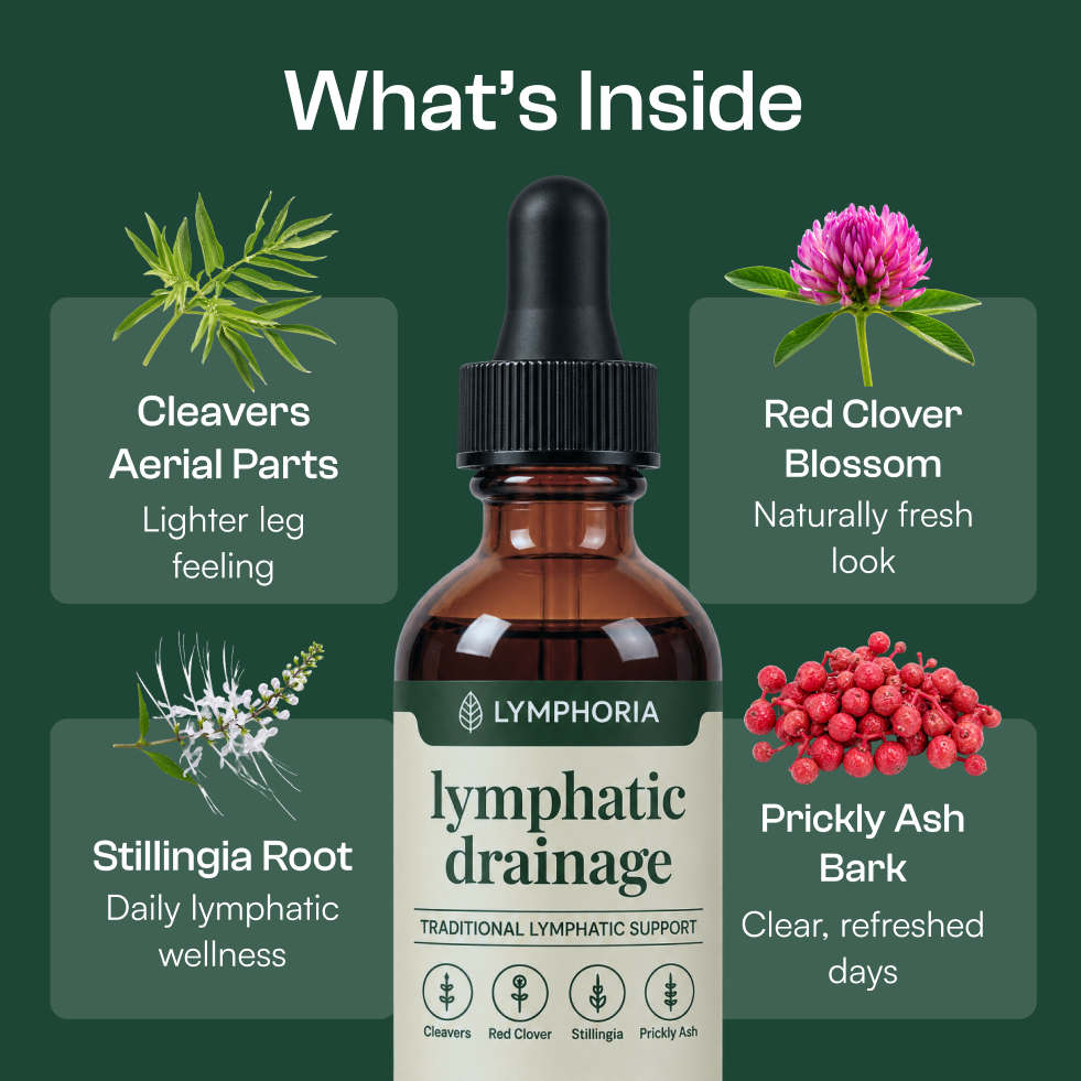 Vista 4 de Lymphoria