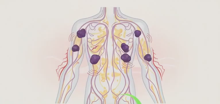 Lymphoria · Producto e ingredientes