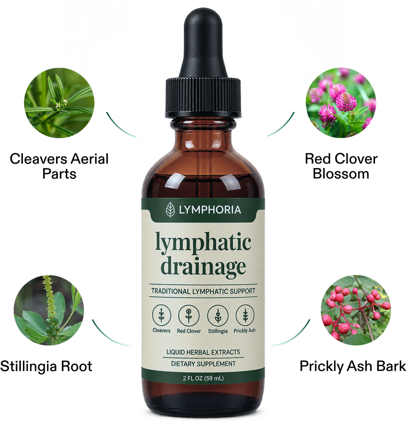 Lymphoria · Producto e ingredientes
